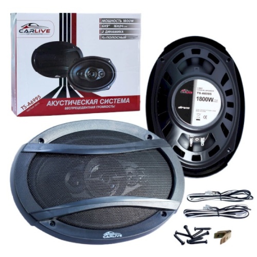 Автомобильные динамики Carlive TS-A6995 6*9" овальные